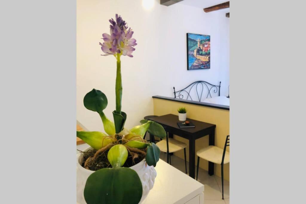 La Gianchina Di Vernazza - Central Cozy Apt Wi-Fi Extérieur photo